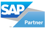 Leaping Frog Consulting - SAP Partner
