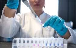 Unlocking the Power of SAP for Chemical Industry Processes
